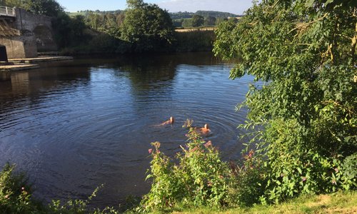 Swimming in the River Wye at Whitney Bridge - refreshing!