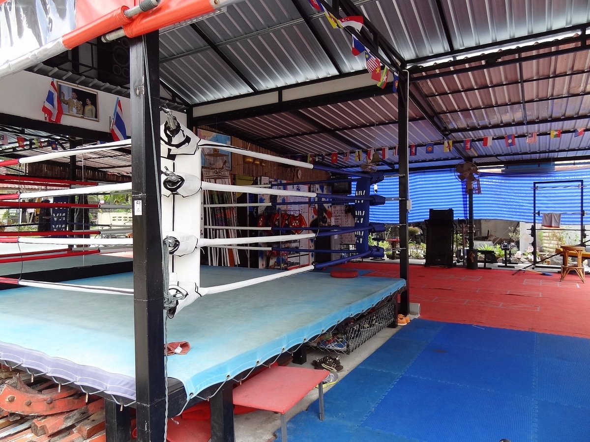 Tibiales Para Kick Boxing, Muay Thai, Kv Maga, Marca Bronx