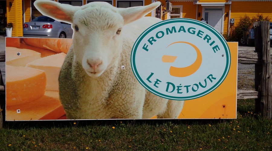 cheeses made with goat or cow's milk
