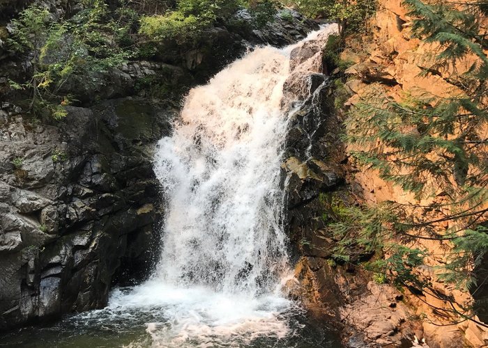 The hike starts below the falls and goes through four falls for ~4 miles round trip. 

We had we