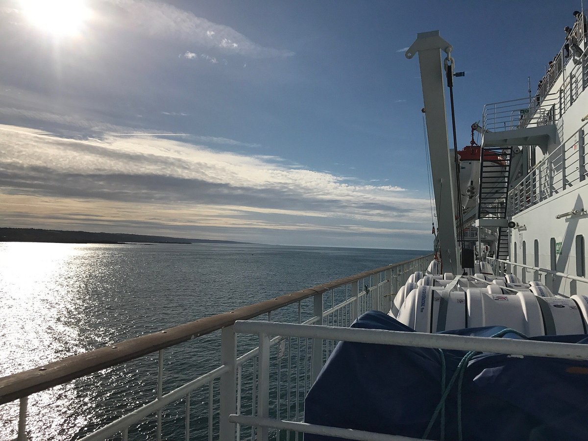 can you take dogs on irish ferries