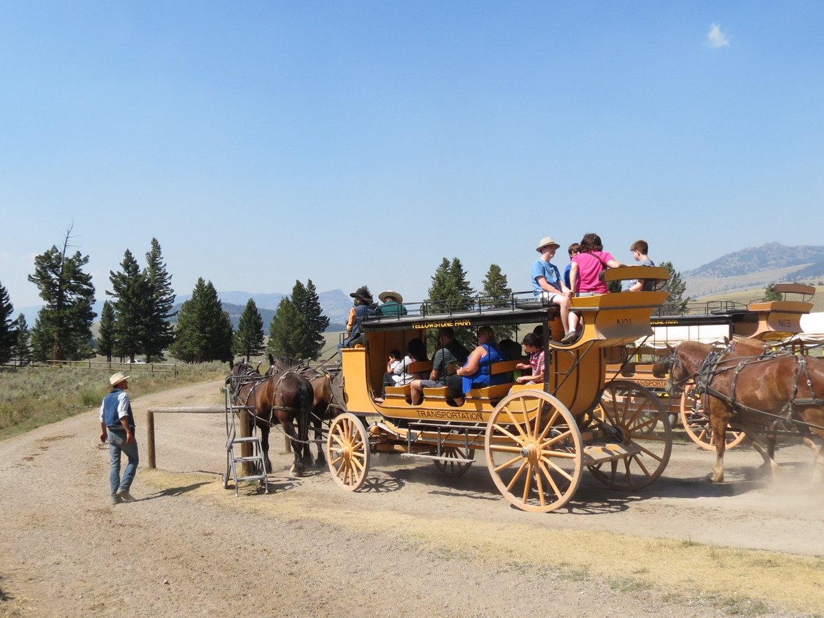 Stagecoach Adventure - All You Need to Know BEFORE You Go (2024)