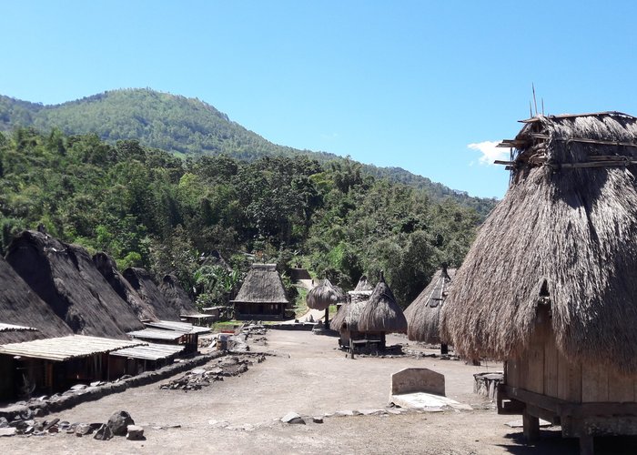 Bena traditional village