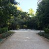 Myriam826