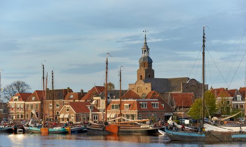 the harbour