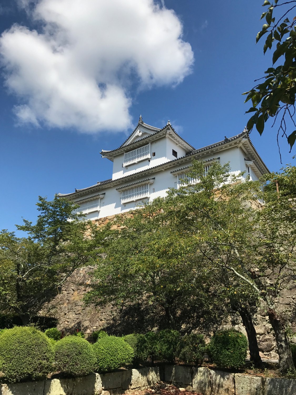 津山市 日本 Tsuyama Castle Kakuzan Park 旅遊景點評論 Tripadvisor