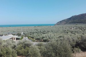 Seyahat Eden