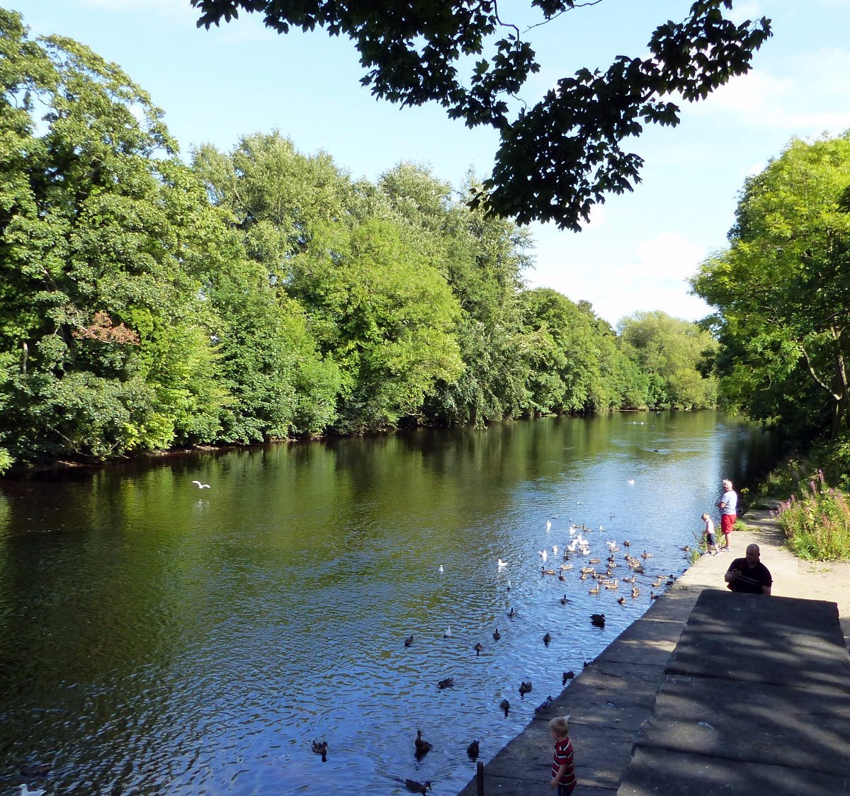 Riverside Garden Park Near Gatwick | Fasci Garden