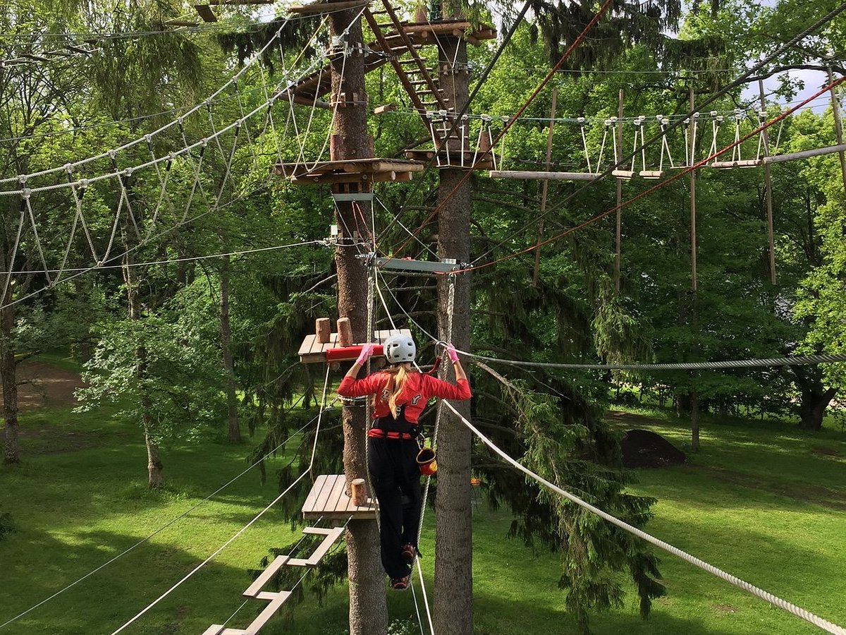 Hugo Park Aulanko (Hämeenlinna, Finland) - Anmeldelser - Tripadvisor