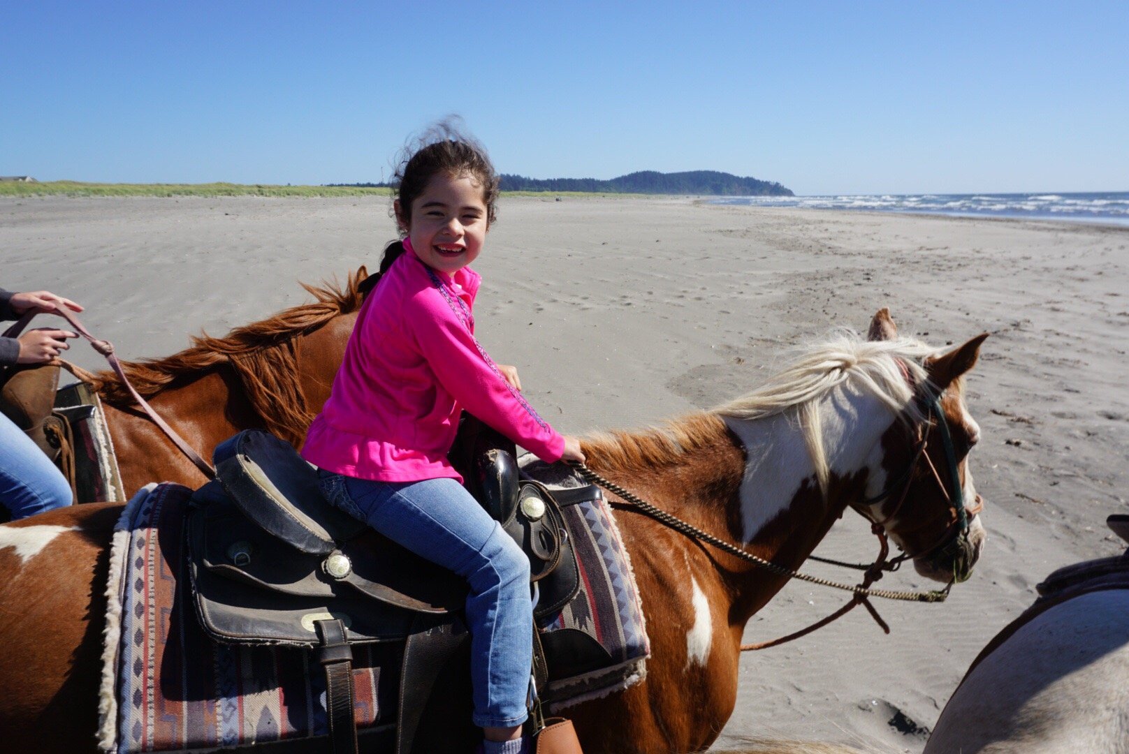 Back Country Horse Rides, Long Beach: лучшие советы перед посещением ...