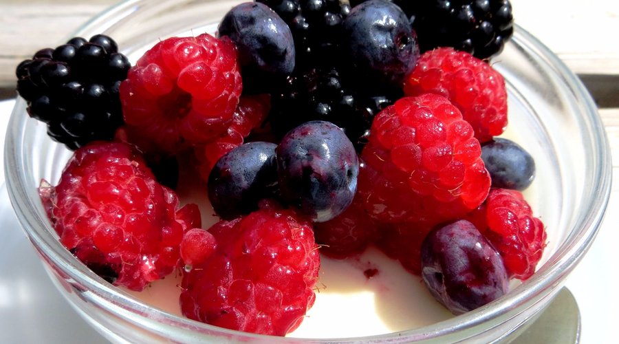 panna cotta