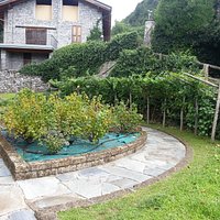 San Salvatore - Orto botanico 2