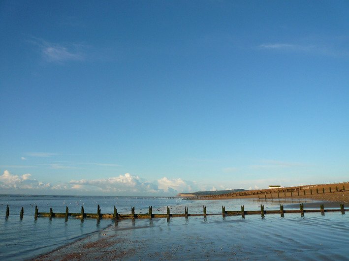 Hotel photo 42 of Winchelsea Lodge.