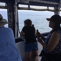 Searching for whales