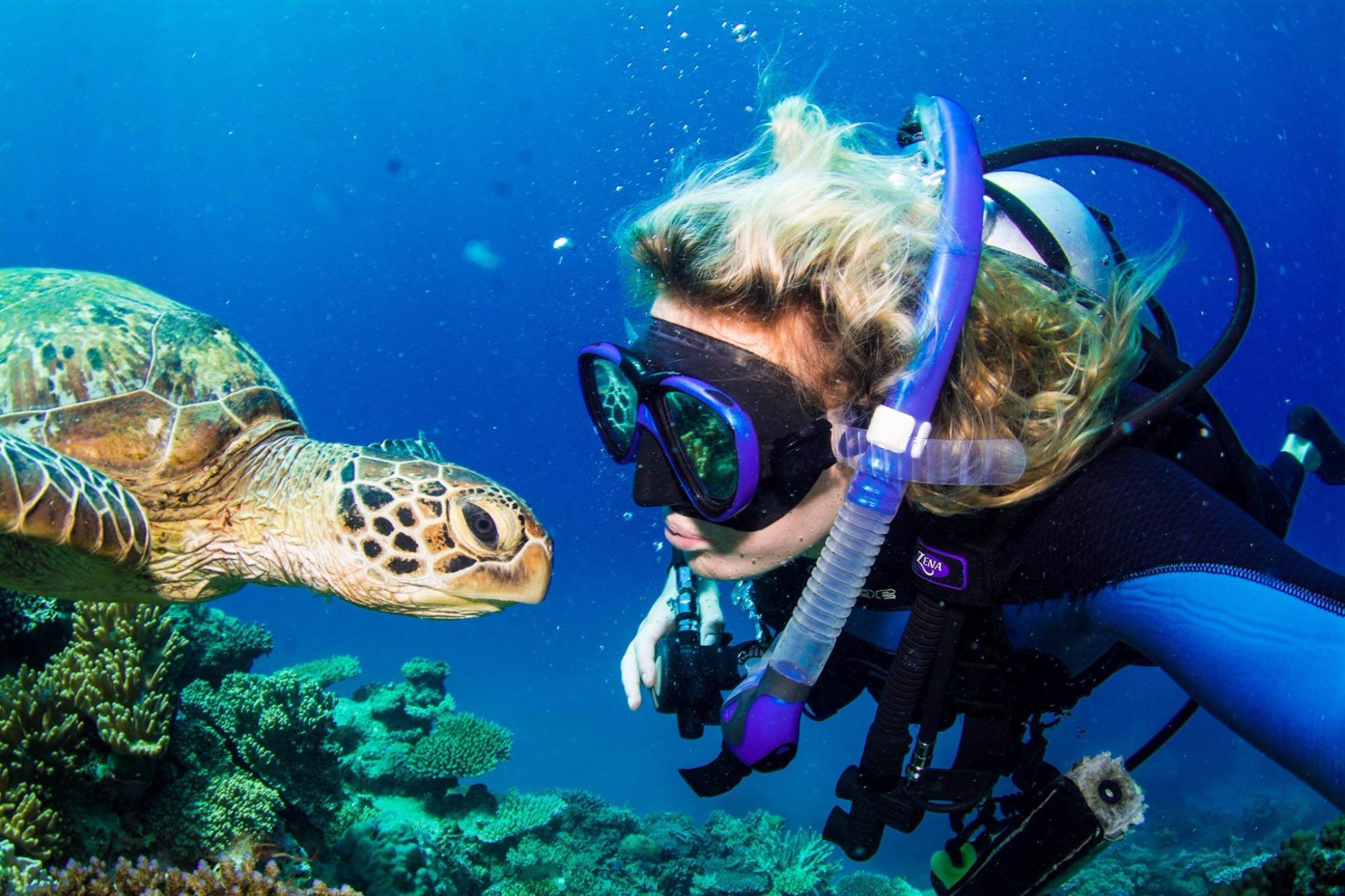 Divers Den (Cairns): All You Need to Know BEFORE You Go