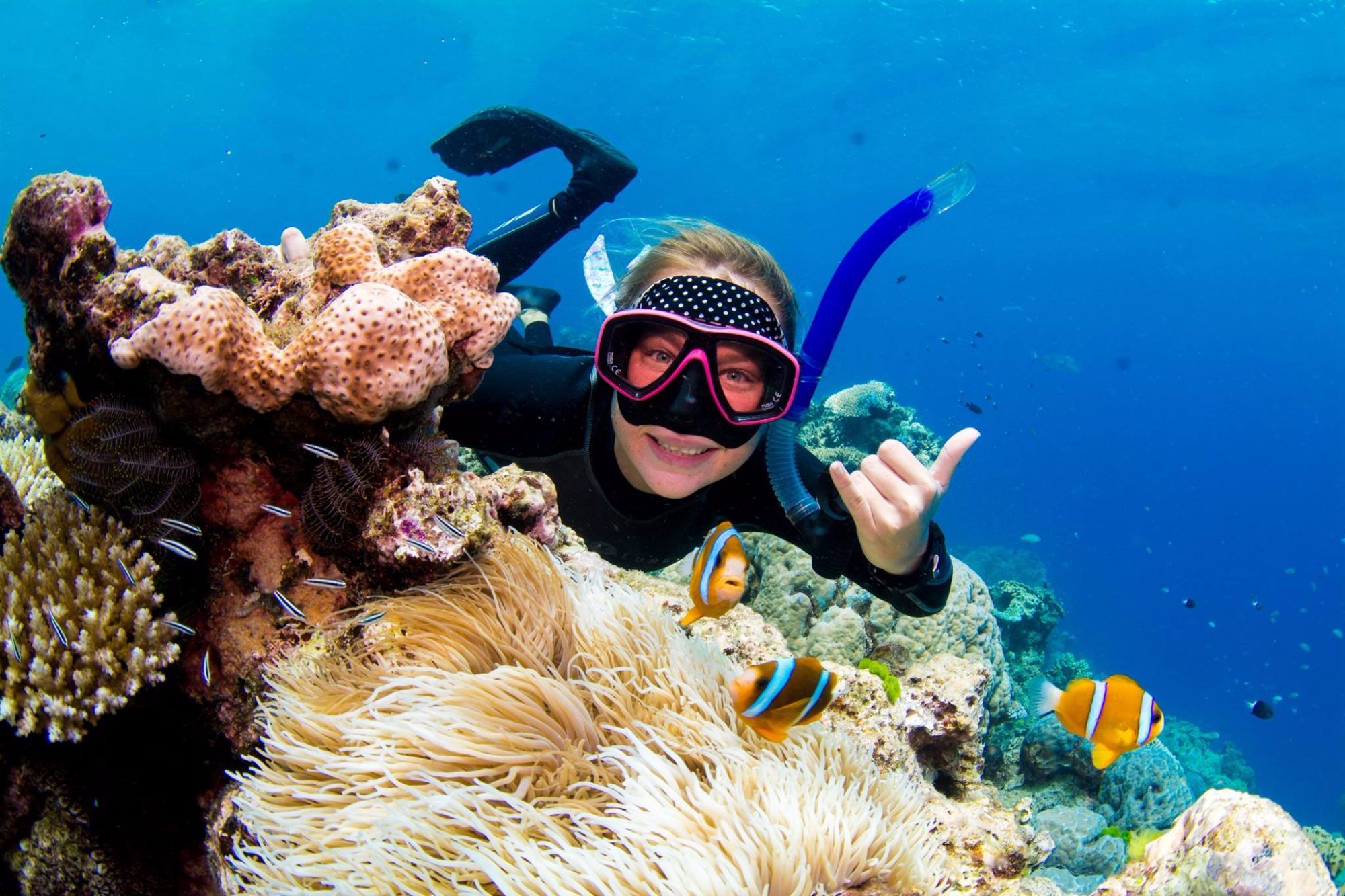 Divers Den (Cairns): All You Need to Know BEFORE You Go