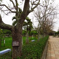 公園景觀
