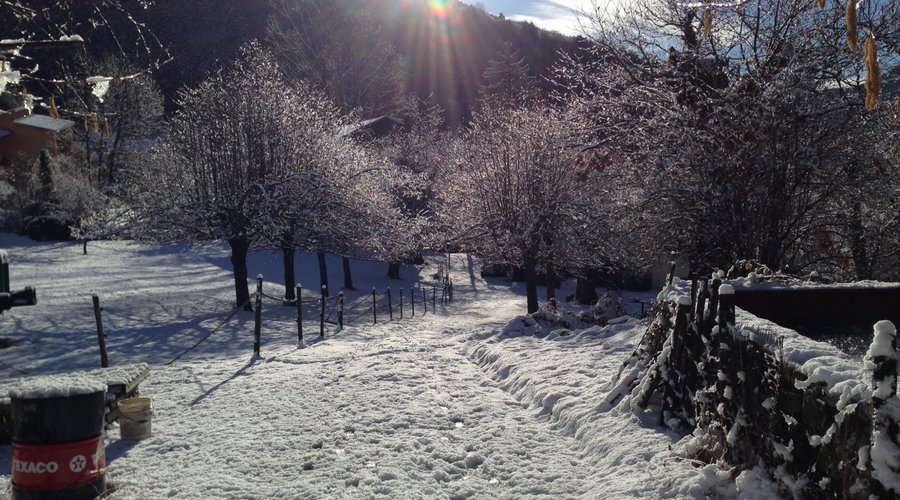 Vue sur le parc en hivers 
