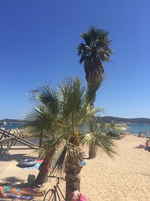 Camping 5 stars at Port Grimaud in Côte d'Azur - Best Holiday