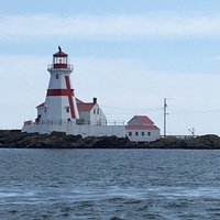 Tarquin Whale Watch (Lubec) - All You Need to Know BEFORE You Go