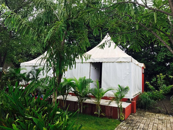 WATERMELON CLUB AND RESORT (Nashik, Maharashtra) - Resort Reviews & Photos  - Tripadvisor