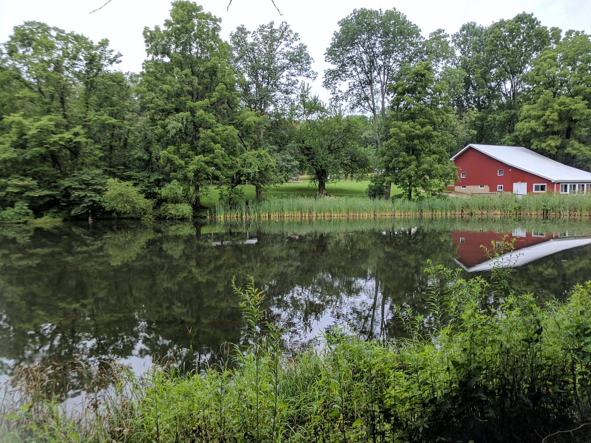 https://dynamic-media-cdn.tripadvisor.com/media/photo-o/10/83/86/a9/mary-gray-bird-sanctuary.jpg?w=1200&h=-1&s=1