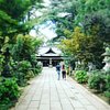 Things To Do in Fuji Shrine, Restaurants in Fuji Shrine