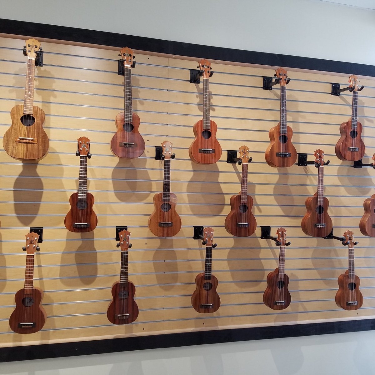 koaloha ukulele tour