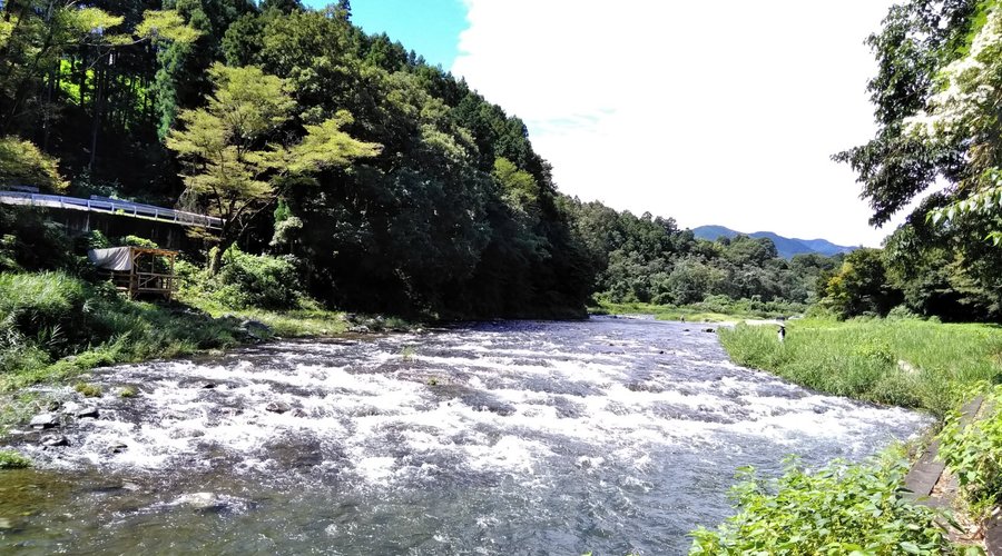 錦江閣から徒歩1分未満の川