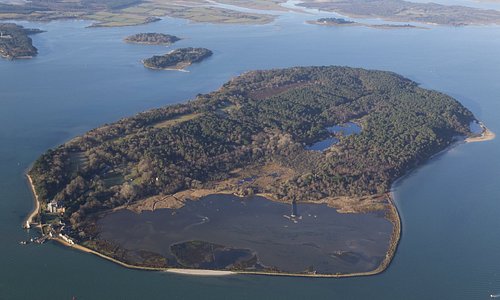 Brownsea Island the largest of 5 islands in Poole harbour and a sanctuary for all manner of wildlife