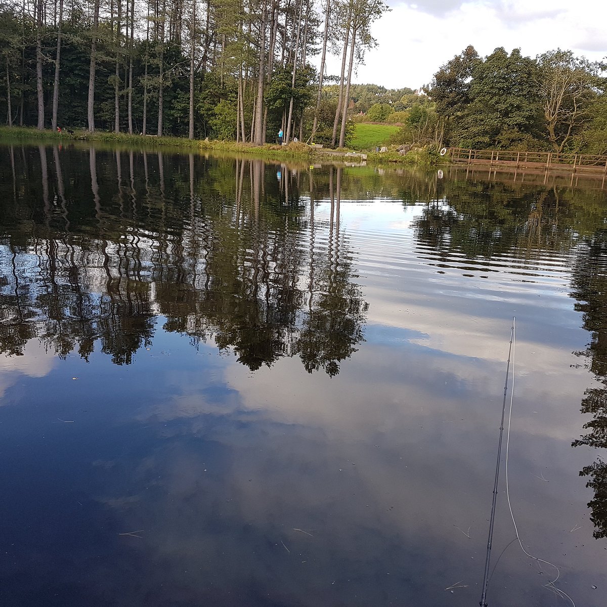 Fly Fishing for Trout near Glasgow and Cameron House Hotel