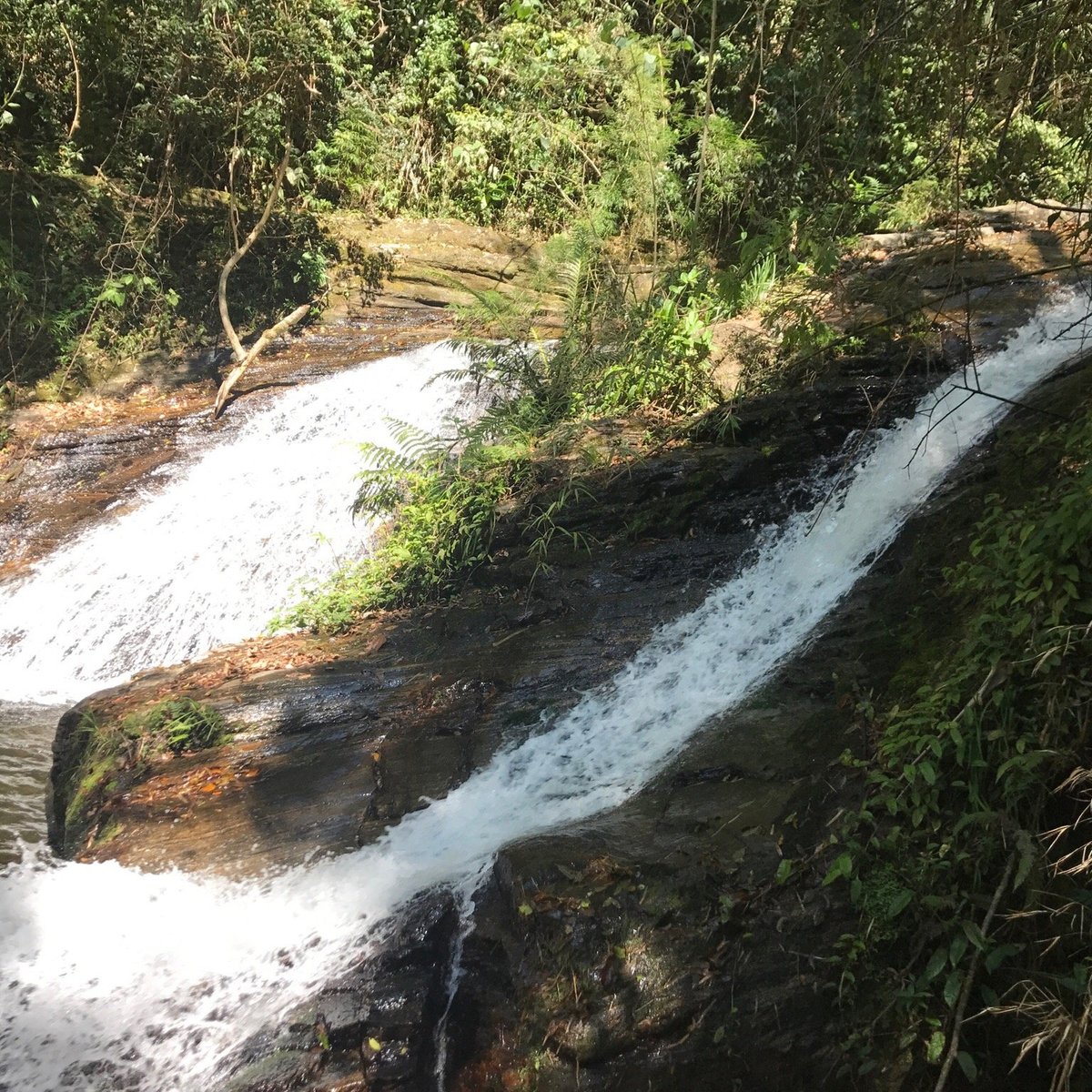 CACHOEIRA GOMERAL (2025) All You Need to Know BEFORE You Go (with Photos)