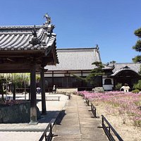 境内にはお花がたくさん