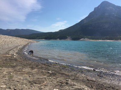 engadine