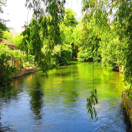 Beautiful stream which the kids played in all day. Bring fishing nets and  toy boats! - Picture of Experience Sussex, Heathfield - Tripadvisor