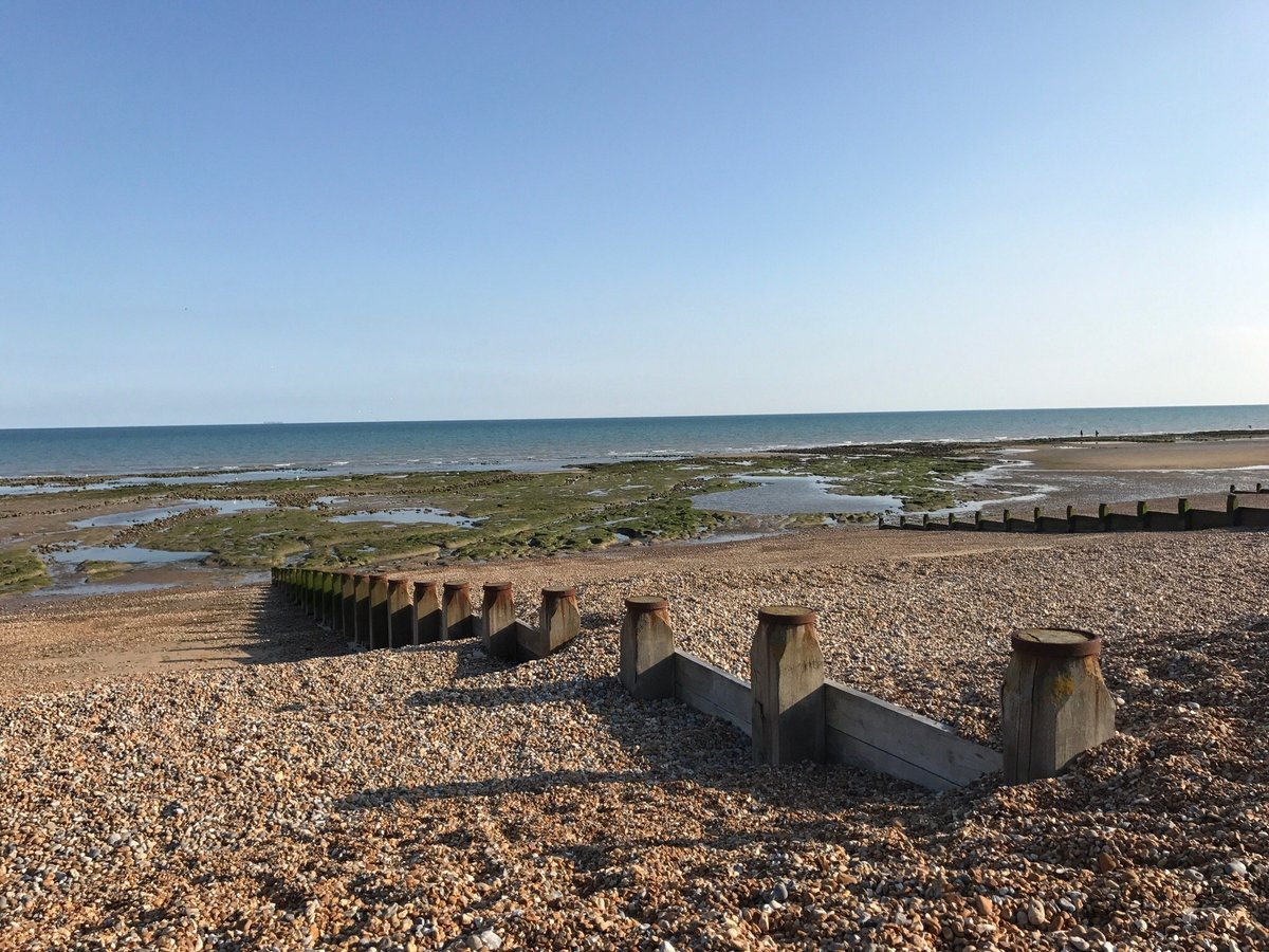 are dogs allowed on pett level beach