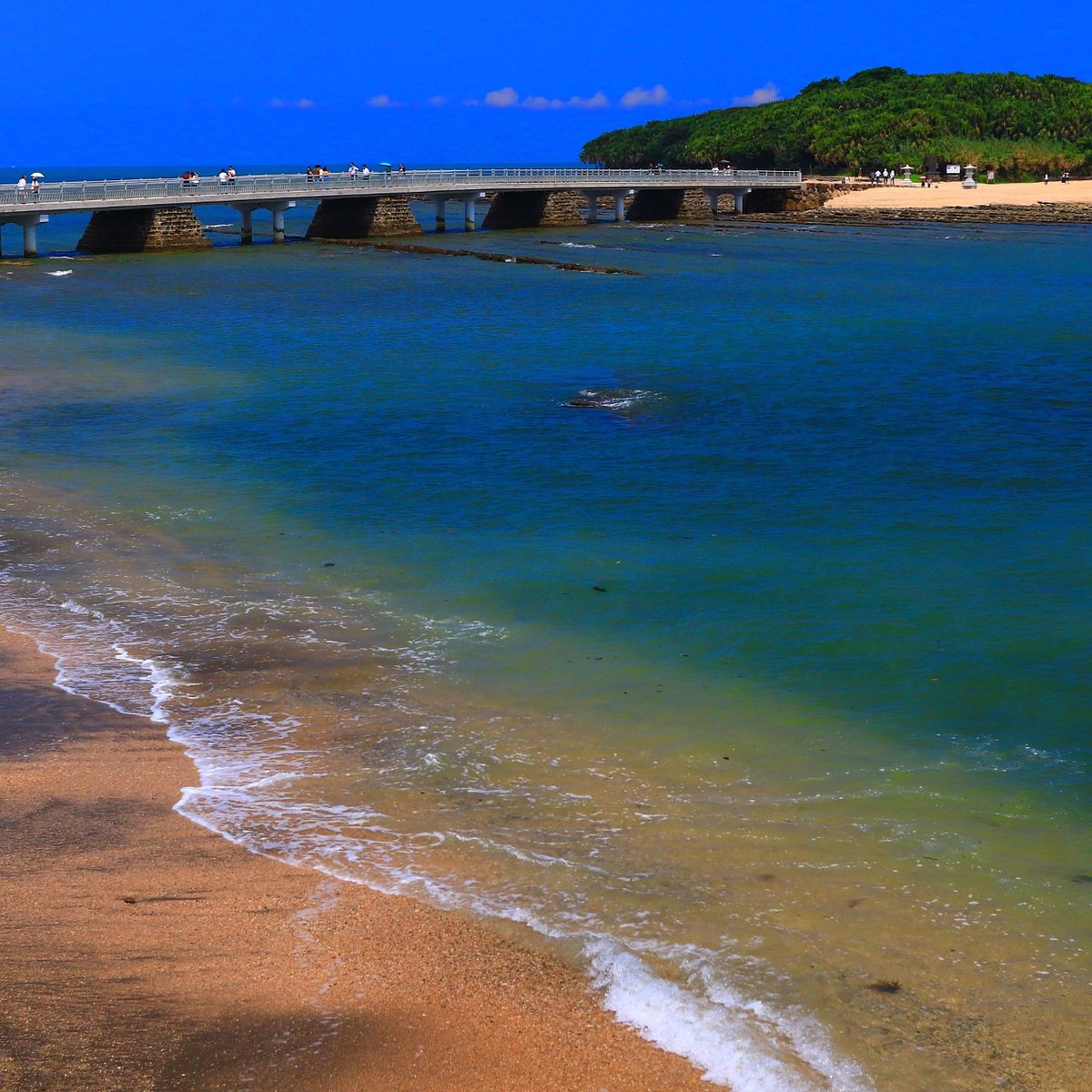 can you visit aoshima island