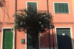 Ristorazione