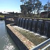 Things To Do in Alan Corrigan Reserve, Restaurants in Alan Corrigan Reserve