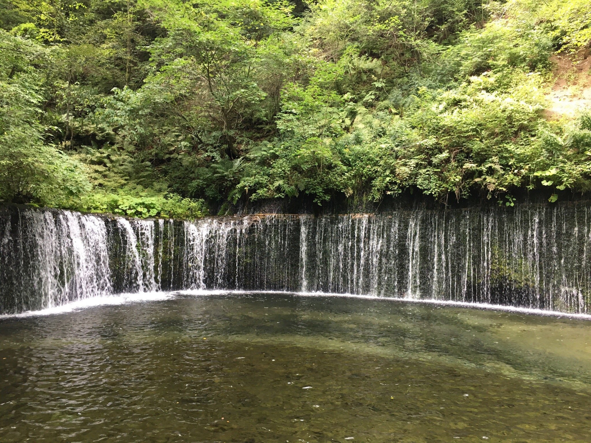 ベスト 5 セール 軽井沢