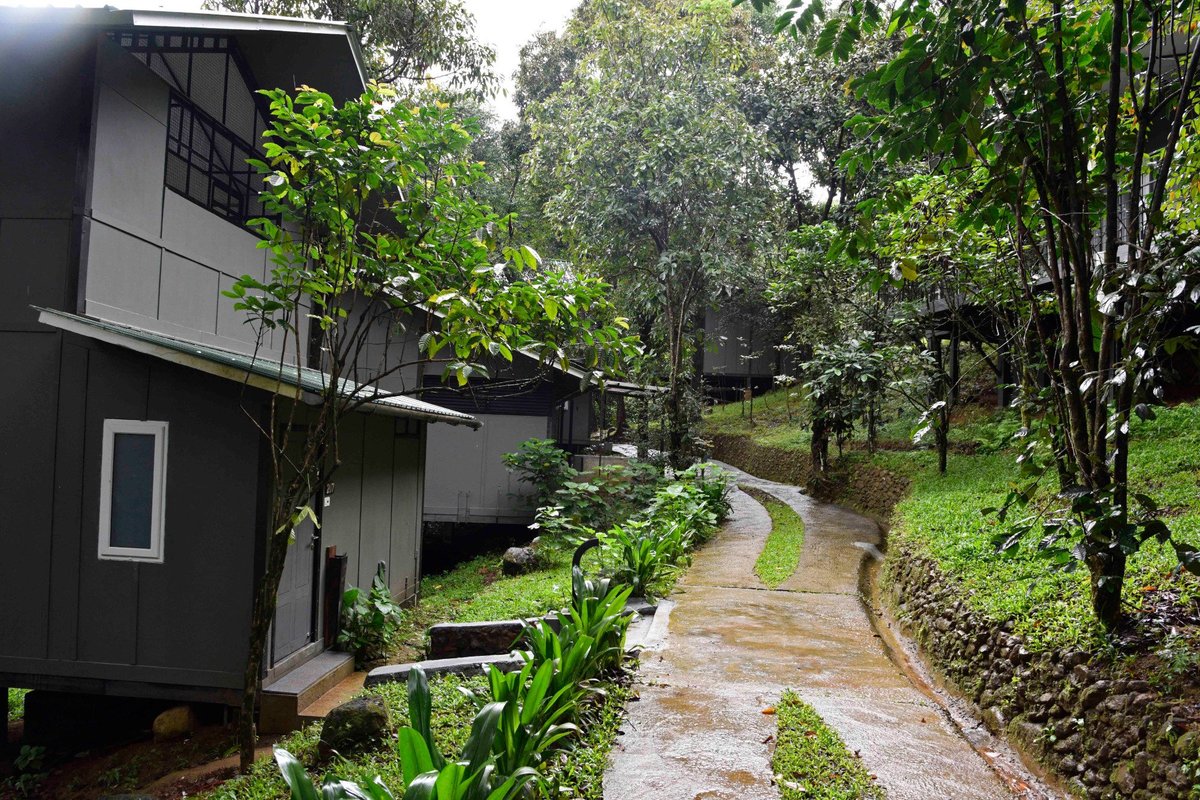 WAYANAD WILD- CGH EARTH (Vythiri, Kerala) - Hotel Reviews, Photos, Rate ...