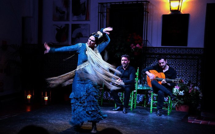 Imagen 3 de La Casa del Flamenco