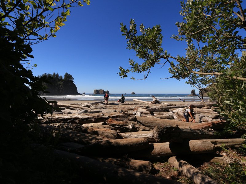 La Push 2022: Best of La Push, WA Tourism - Tripadvisor