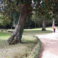 Interno del parco
