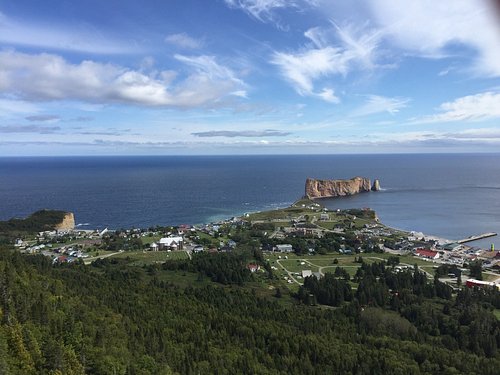 Observation d'oiseaux - Secteur de Cap d'Espoir - Percé destination vacances