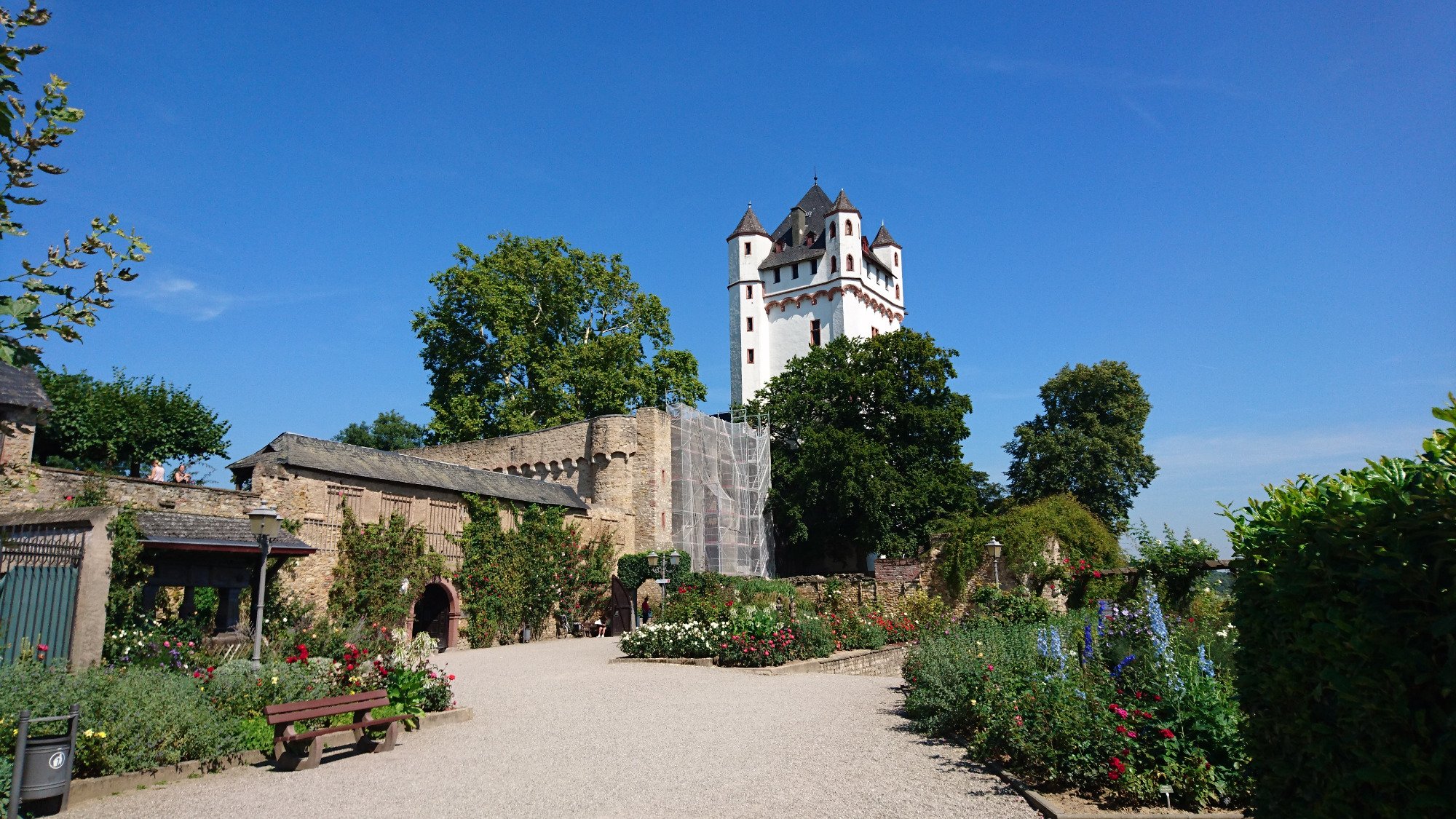 Kurfürstliche Burg (Eltville Am Rhein) - 2022 Lohnt Es Sich? (Mit Fotos)