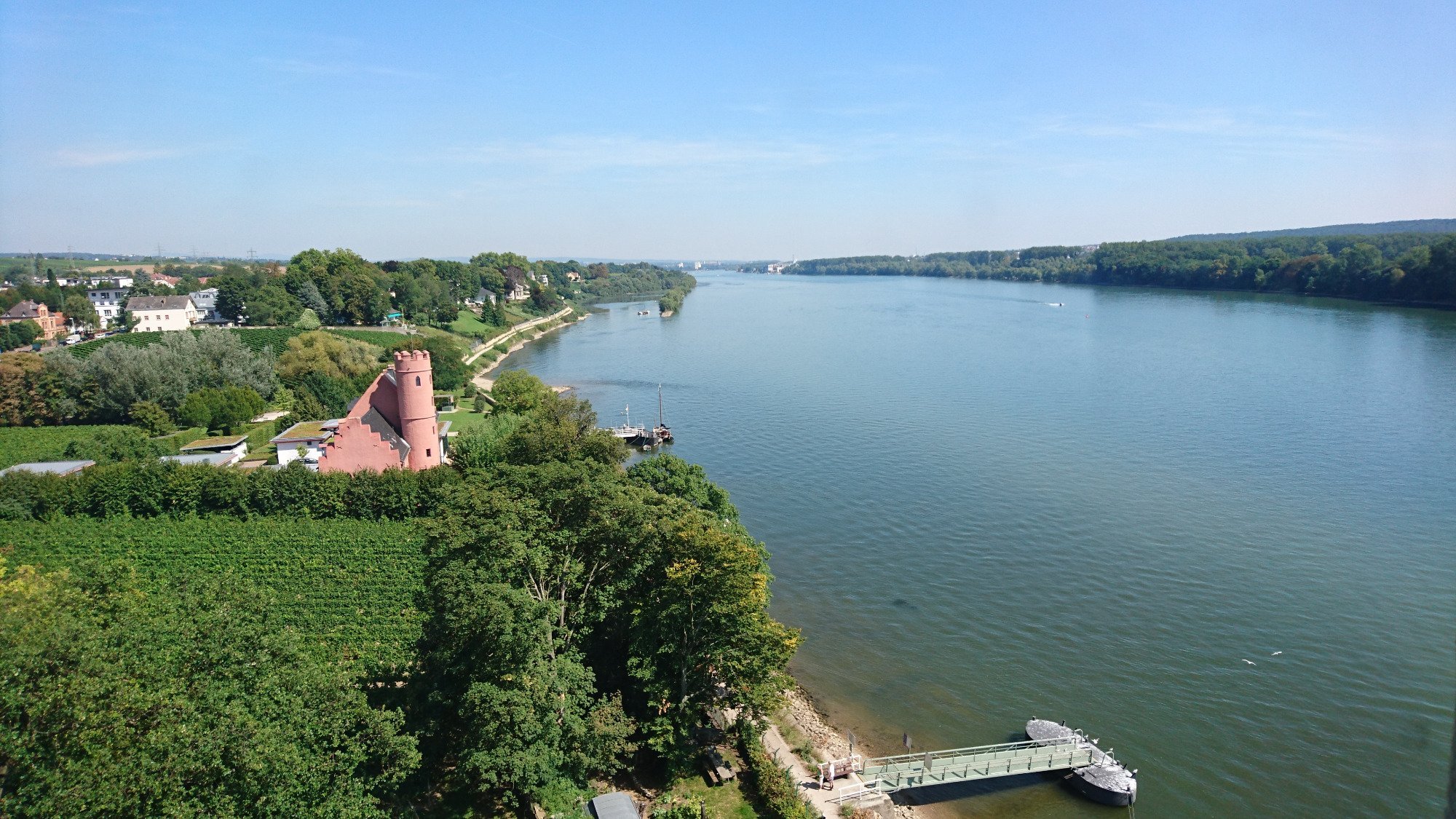 RHEINBLICK GUTSAUSSCHANK & GAESTEHAUS (Eltville Am Rhein, Alemania ...