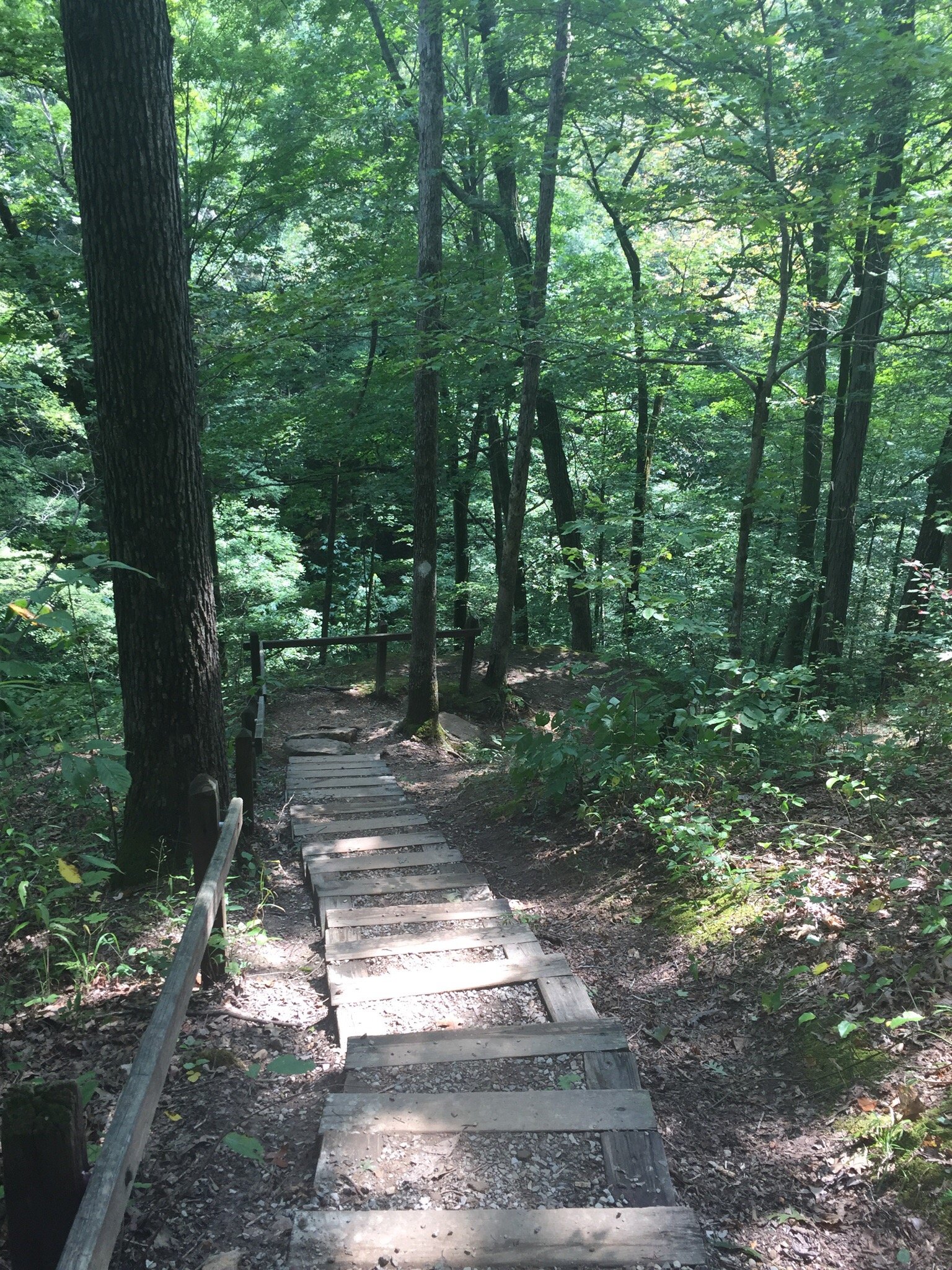 Best trails in hoosier national outlet forest