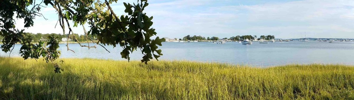 marshlands-conservancy-rye-all-you-need-to-know