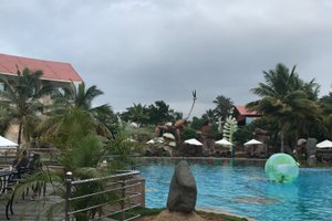Pool & Beach